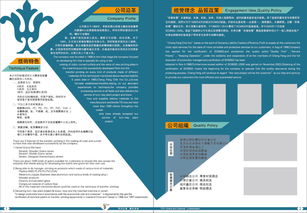 企業(yè)畫冊設計 版式與封面的視覺策略
